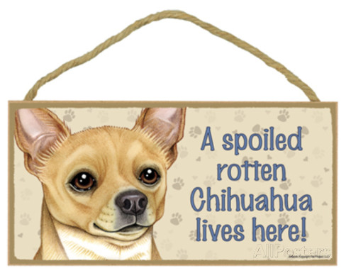 a-spoiled-rotten-chihuahua-tan-lives-here-wood-sign