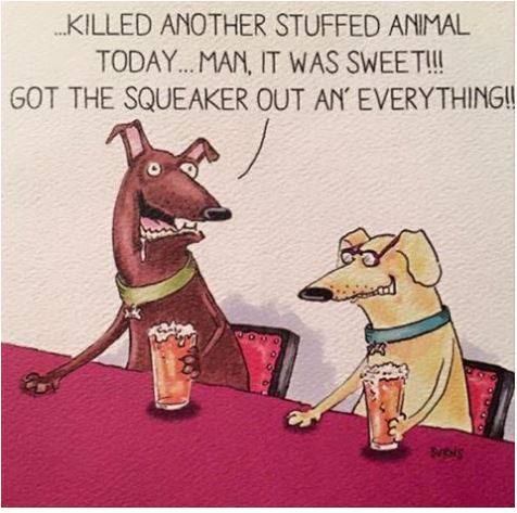 13263702_1144089868988235_6729298350021052043_n